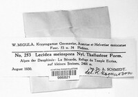 Image Associated With the Occurence